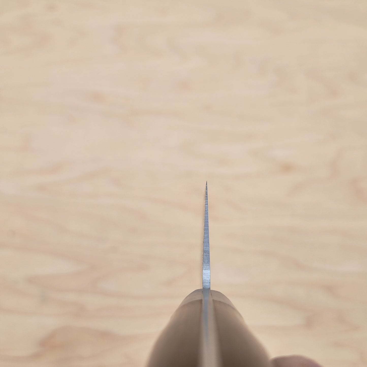 Kai Sekimagoroku Benifuji 210mm Gyuto