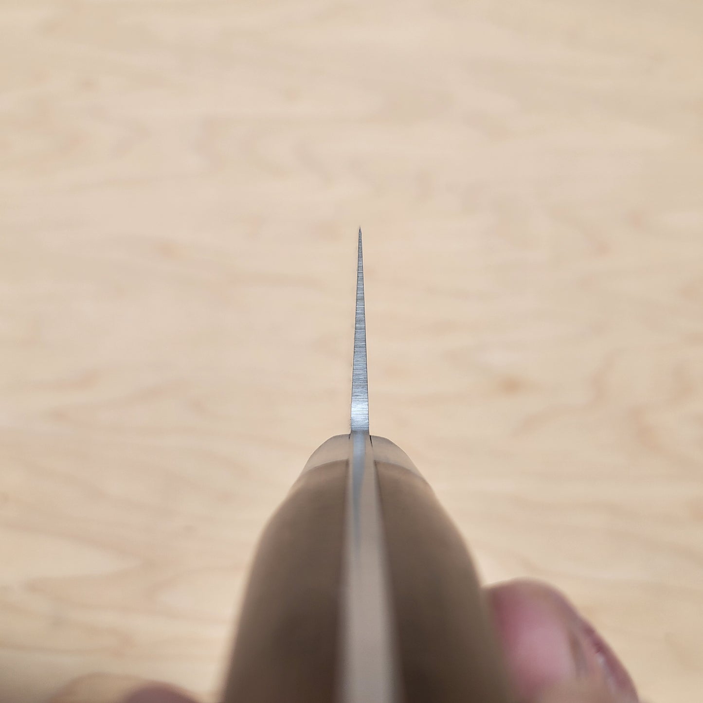 Kai Sekimagoroku Benifuji 240mm Gyuto