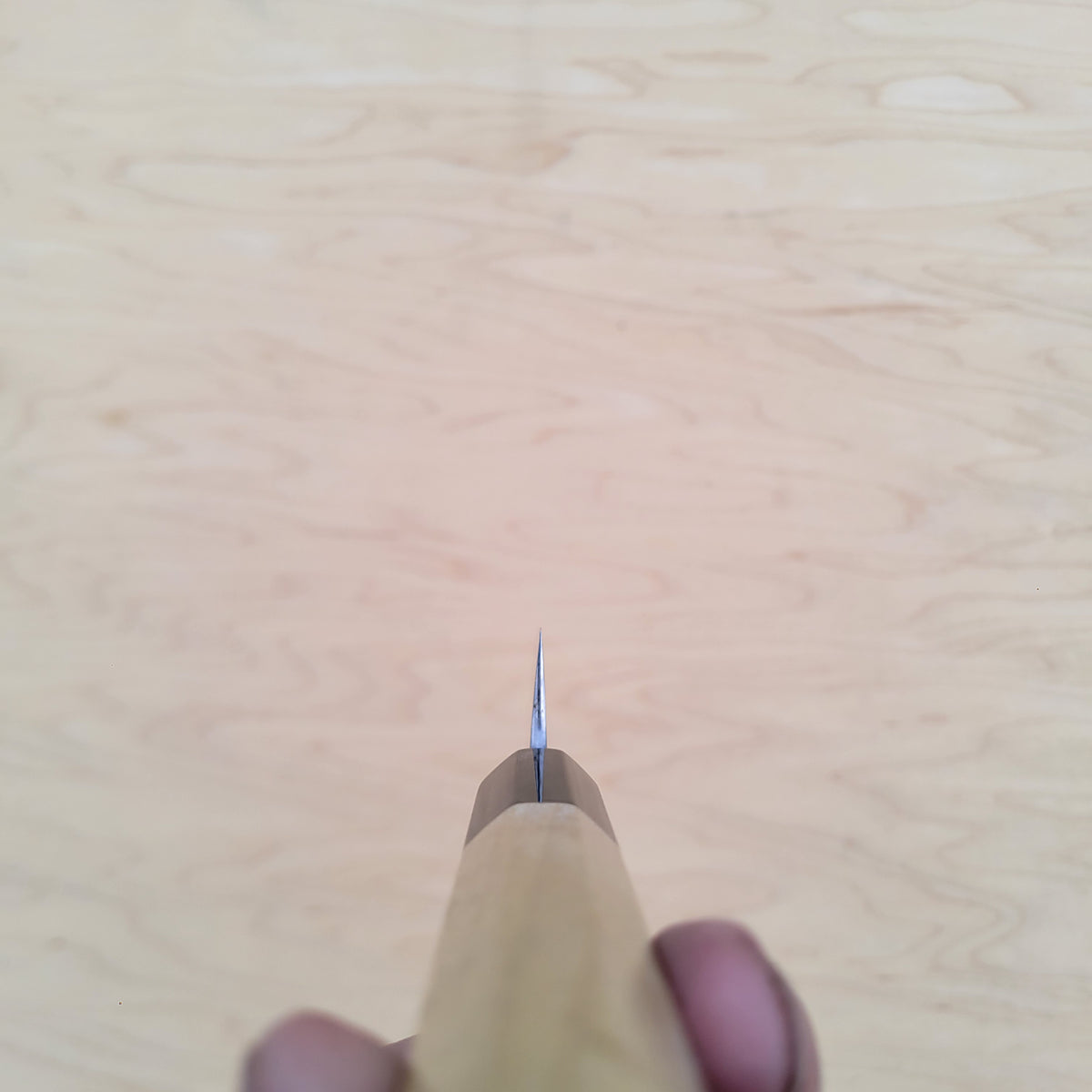 Sakai Kikumori Nakagawa Bokashi 150mm Petty - White 1 Stainless Clad