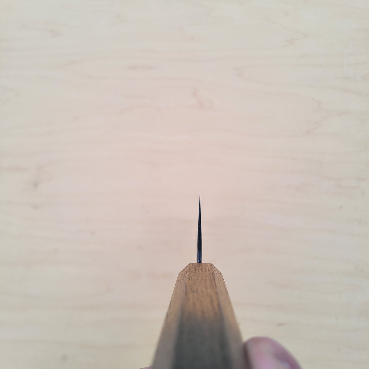 A choil profile shot of kitchen knife