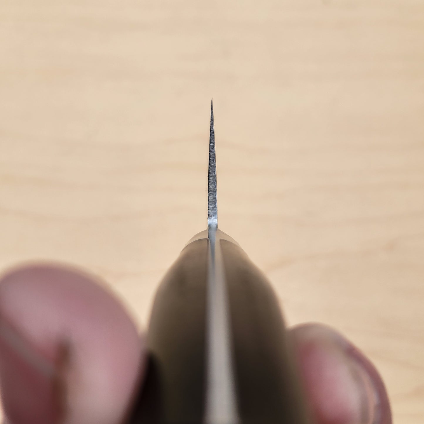 Touroku Sakai Tatsu 195mm Gyuto - Tsuchime Monosteel