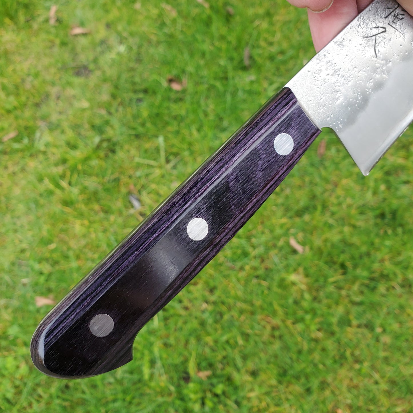 Tsunehisa Ginsan 180mm Santoku Nashiji Purple