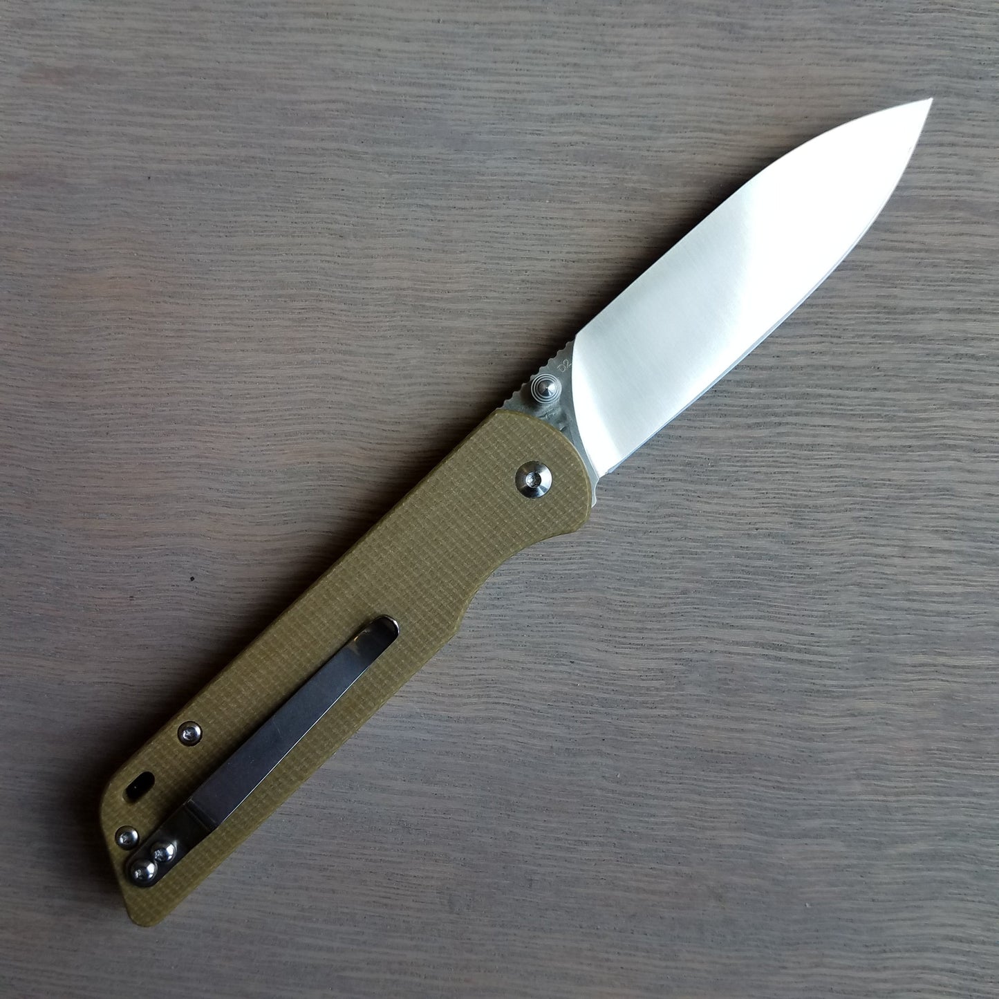 QSP Parrot V2 - Light Green Micarta