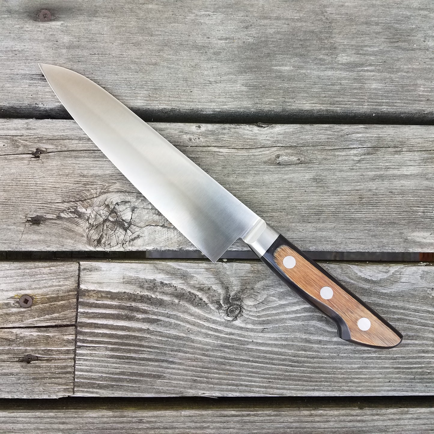 Sakai Takayuki 180mm Gyuto TUS Stainless Steel