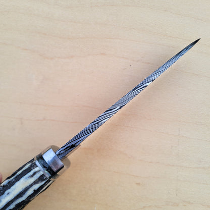 Dan Petersen Damascus Hunter 4.5"- Stag