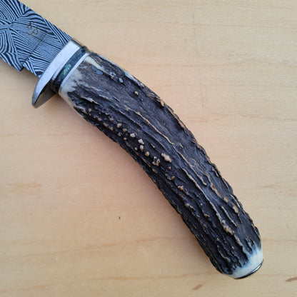 Dan Petersen Damascus Hunter 4.5"- Stag