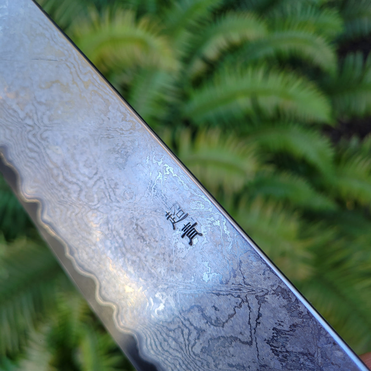 Sakai Kikumori Yogiri (SECOND) 225mm Kiritsuke Gyuto - Aogami Super Damascus