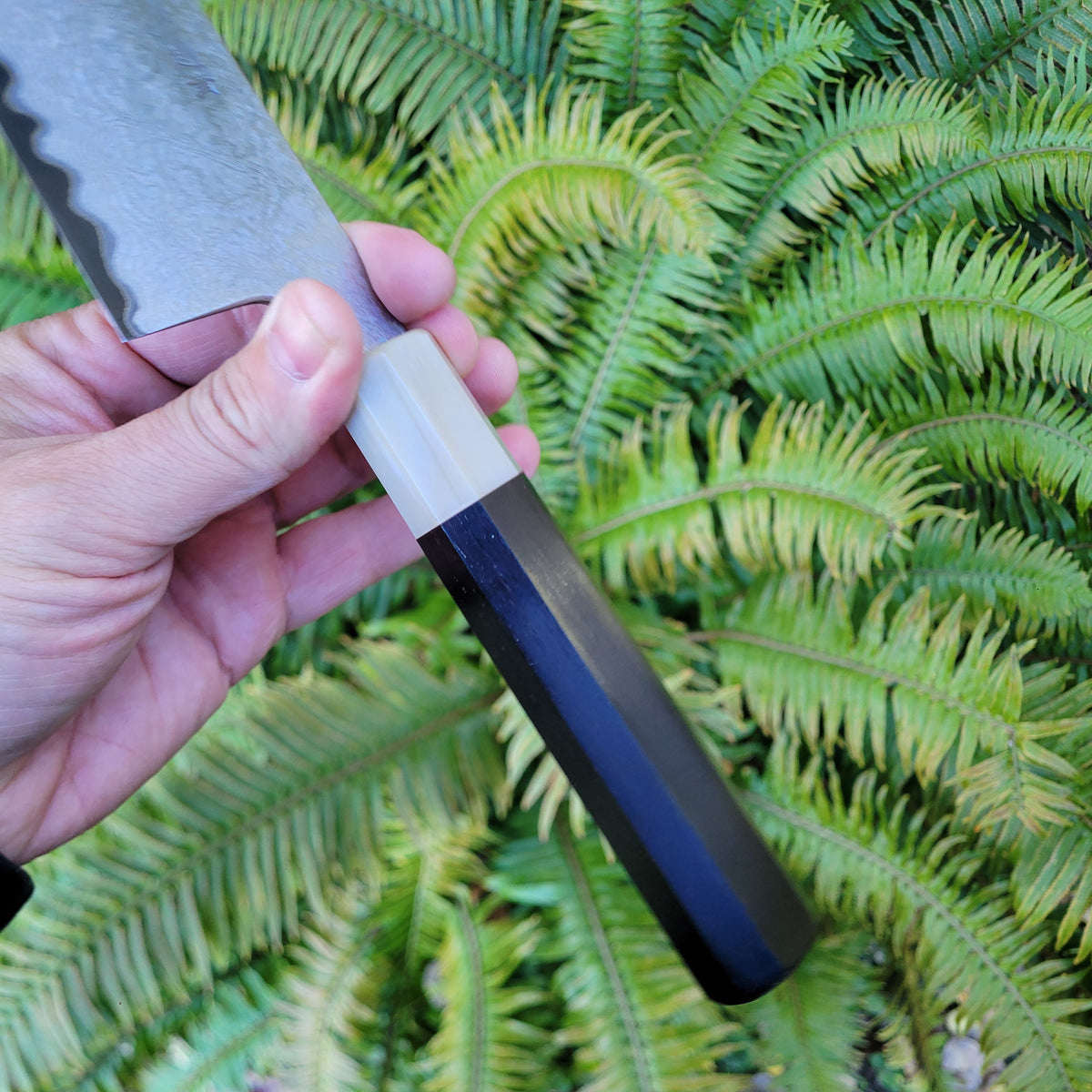 Sakai Kikumori Yogiri (SECOND) 225mm Kiritsuke Gyuto - Aogami Super Damascus