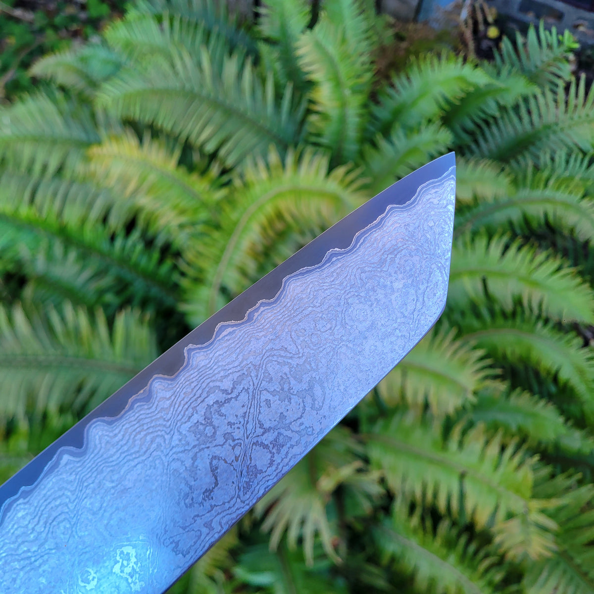 Sakai Kikumori Yogiri (SECOND) 225mm Kiritsuke Gyuto - Aogami Super Damascus