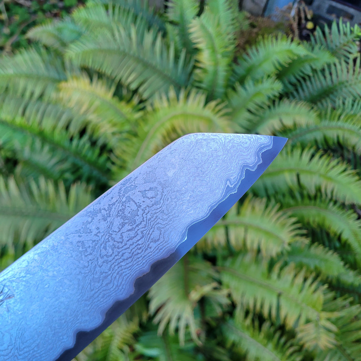 Sakai Kikumori Yogiri (SECOND) 225mm Kiritsuke Gyuto - Aogami Super Damascus