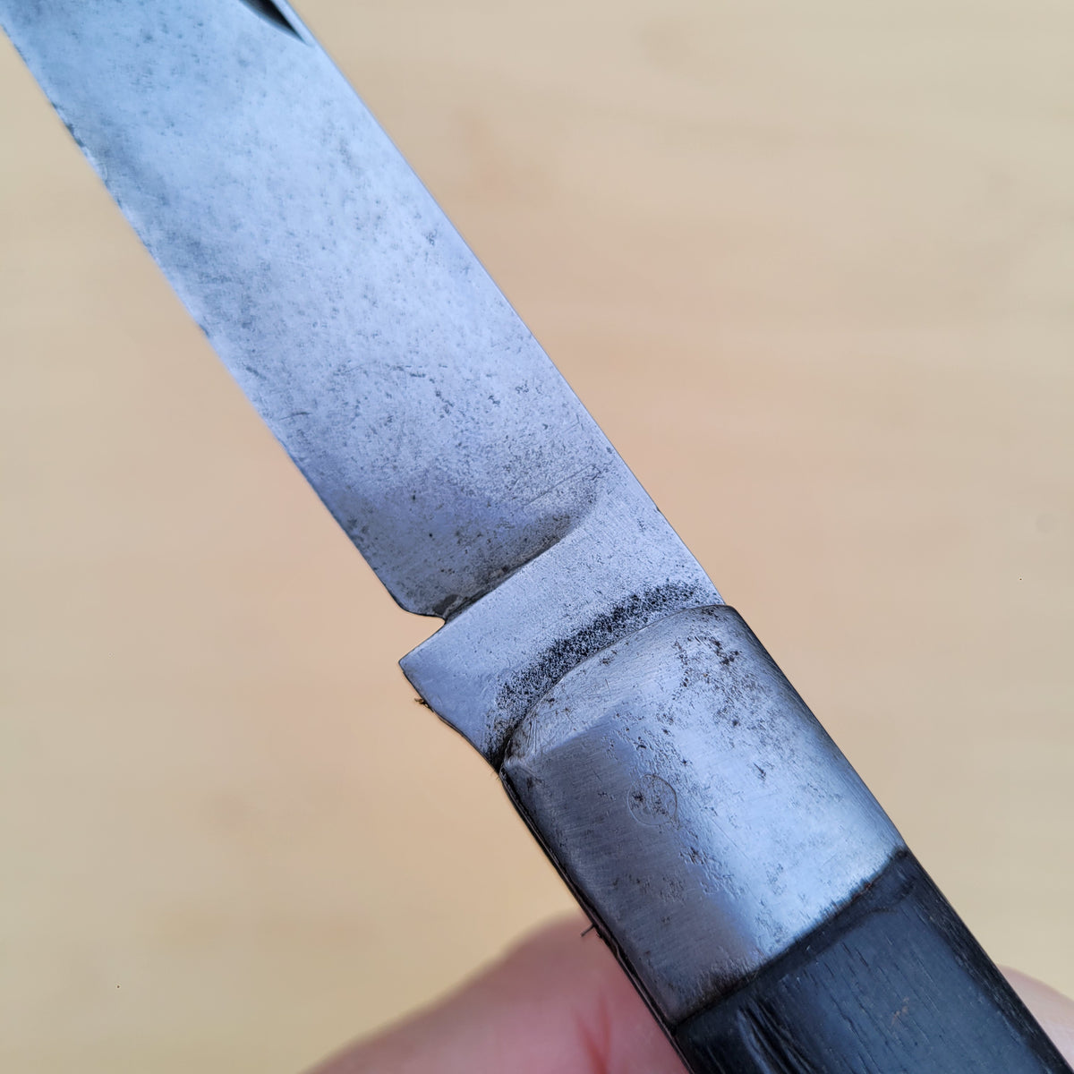 Marked 'Germany' Folding Knife Carbon Steel - Vintage
