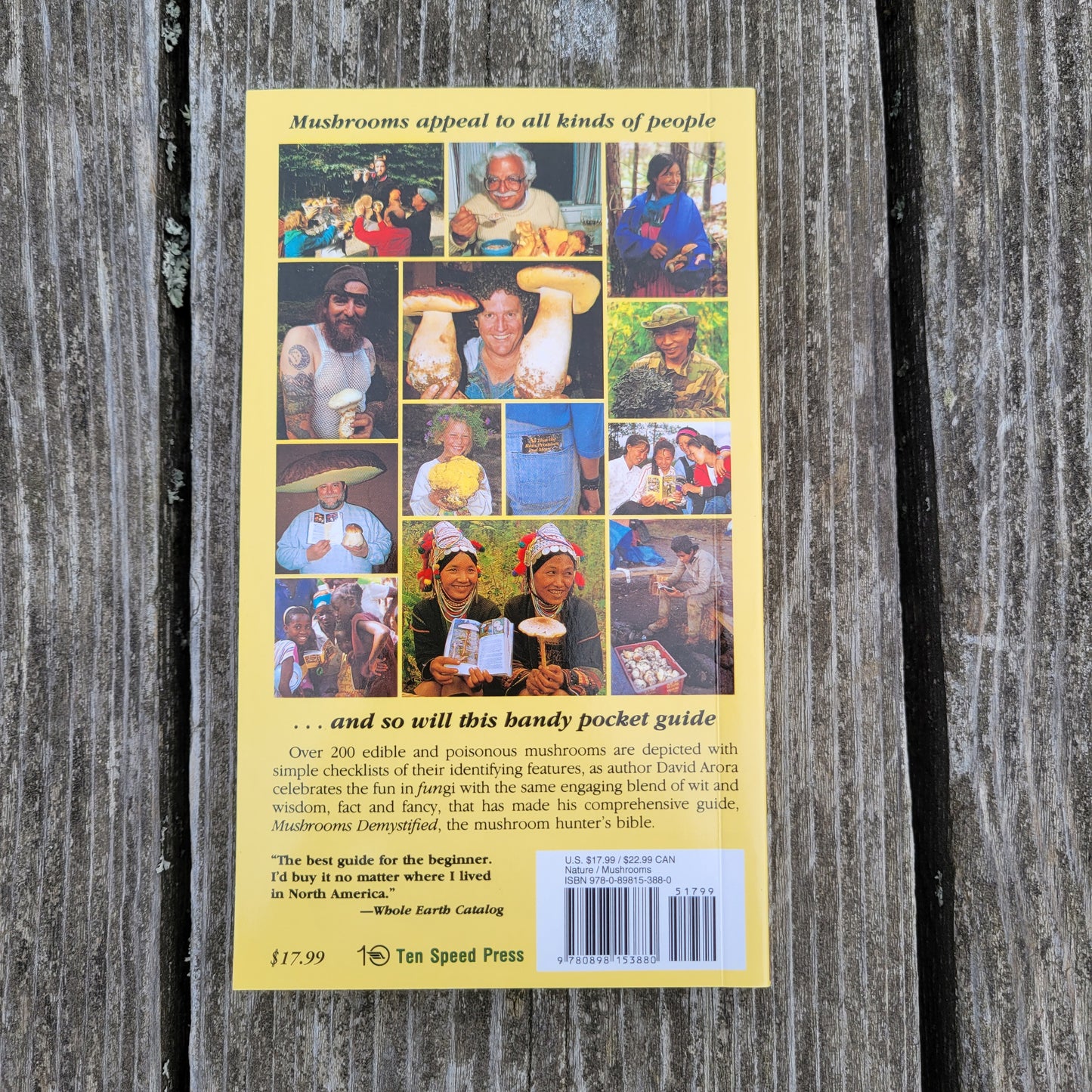 All That Rain Promises & More