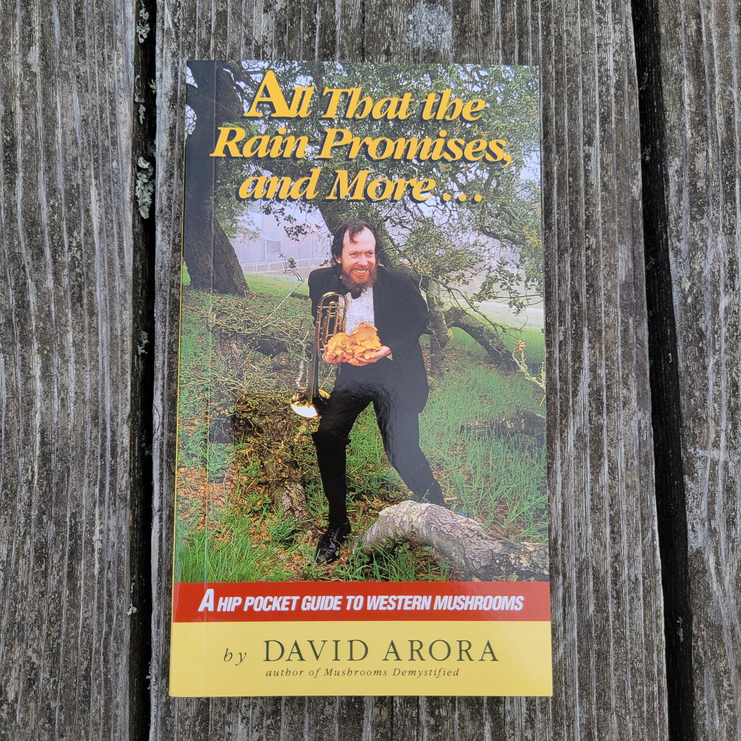 All That Rain Promises & More