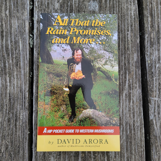 All That Rain Promises & More