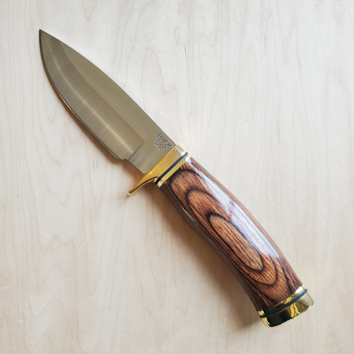 Buck 192 Vanguard Hunting Knife