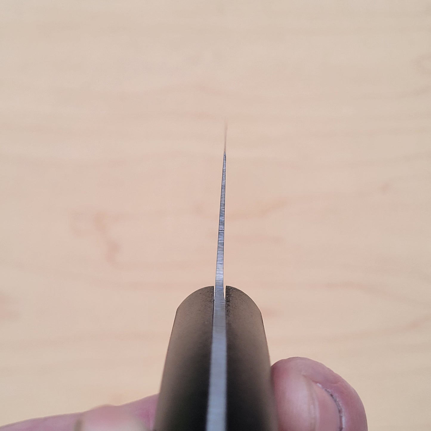 Ikkaku Bessaku 210mm Gyuto