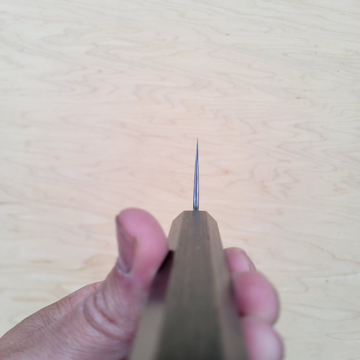 Sakai Kikumori Asagiri 180mm Kiritsuke Santoku