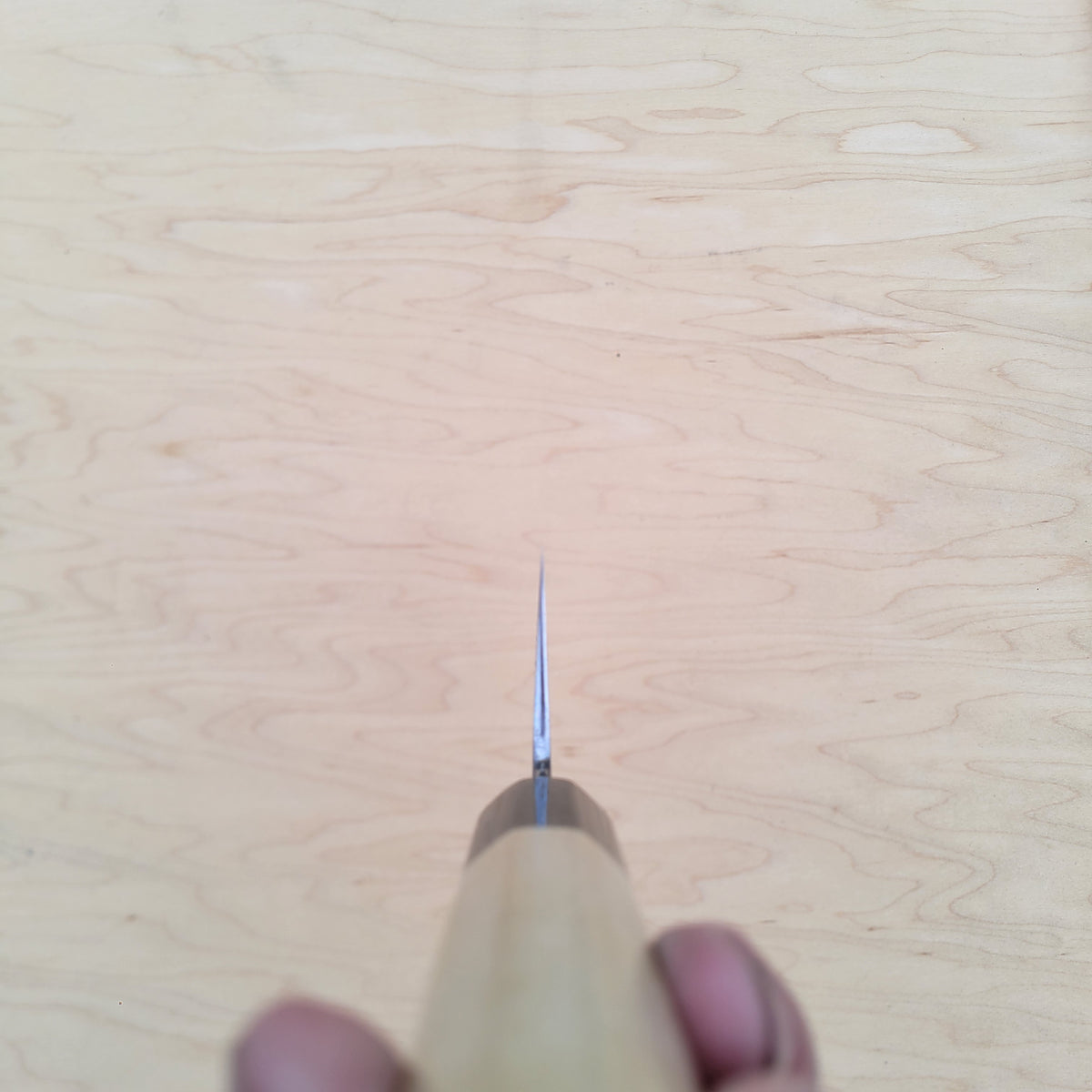 Sakai Kikumori Nakagawa Bokashi 180mm Nakiri - White 1 Stainless Clad