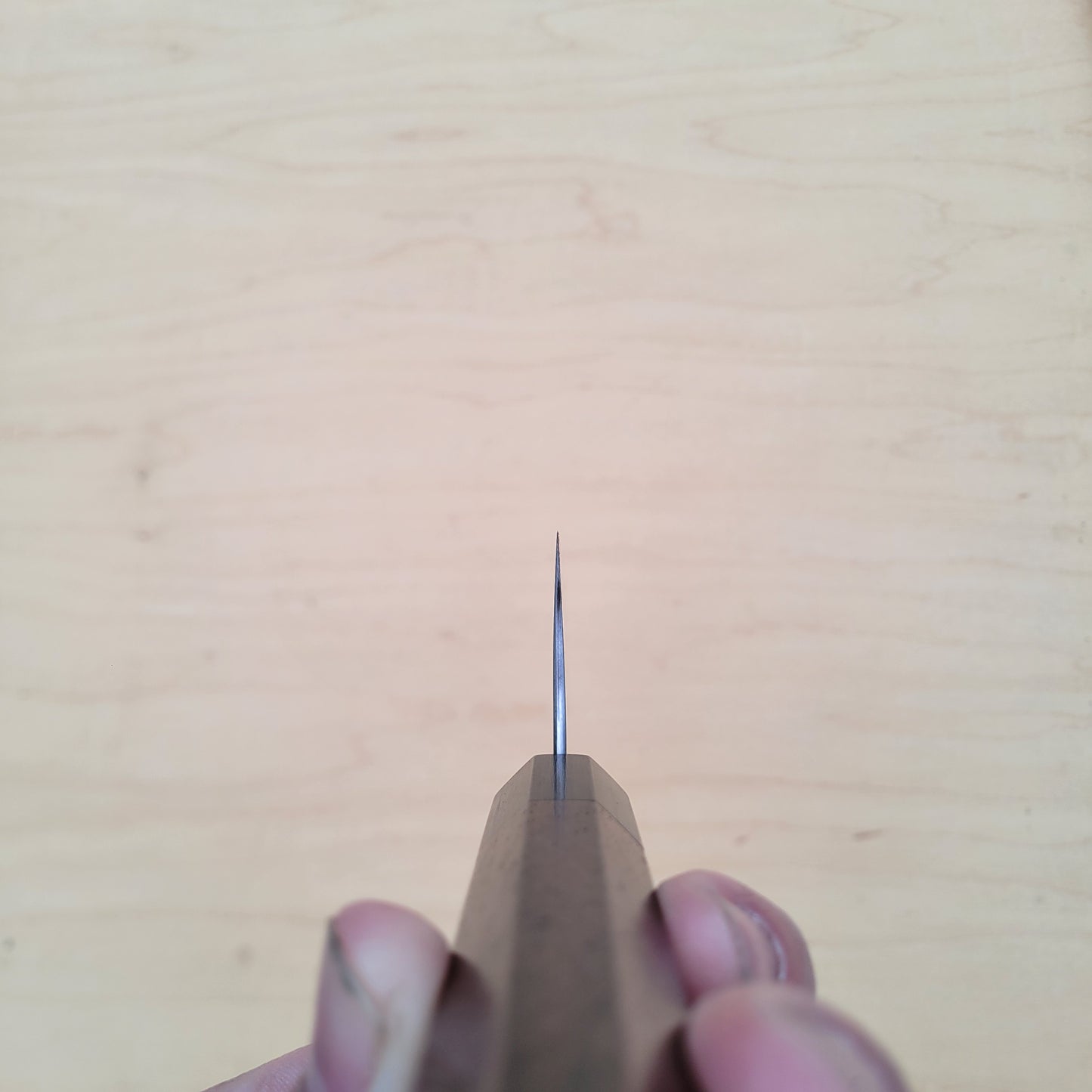 Shibata Koutetsu Chromax 240mm Gyuto