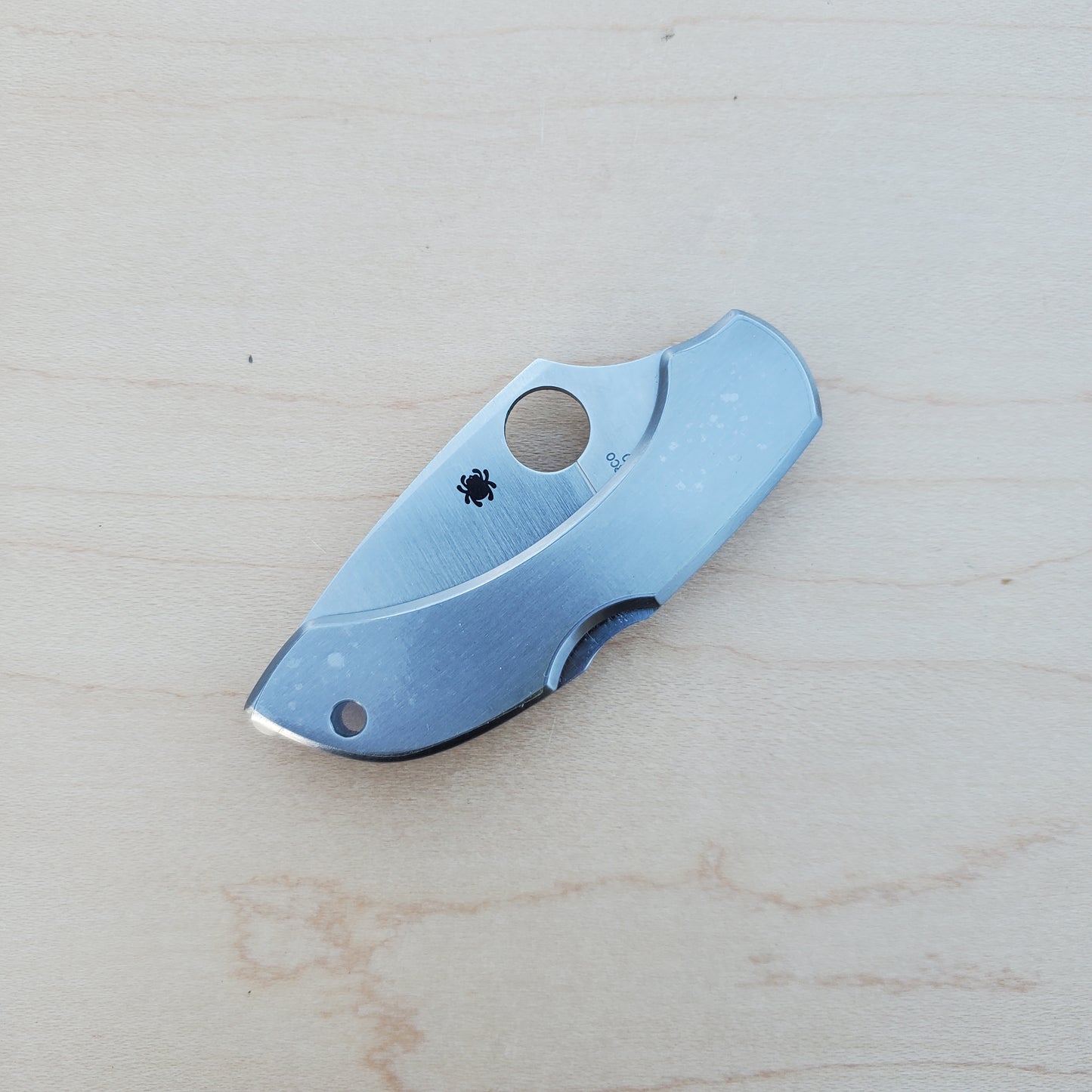 Spyderco Dragonfly - Stainless - C28P