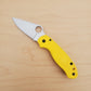 Spyderco Para 3 Salt - MagnaCut - SC23PYL