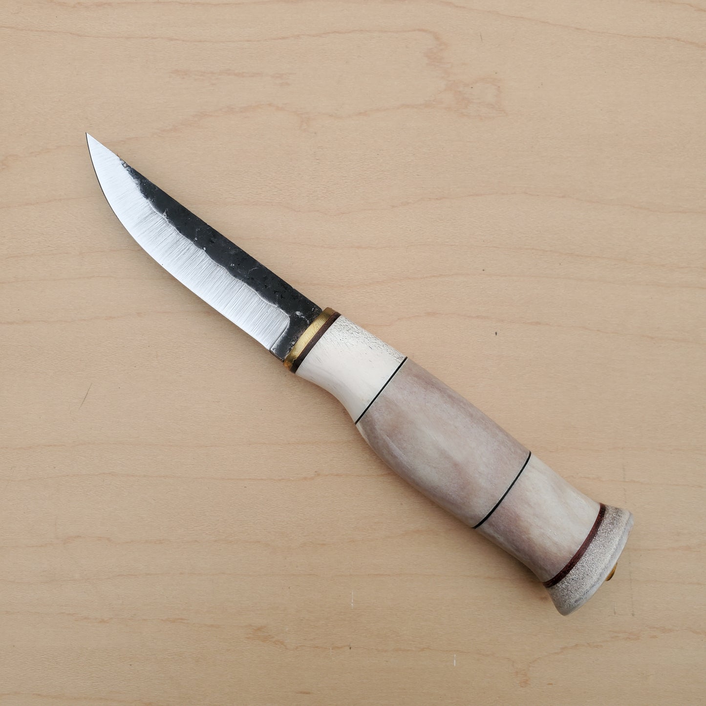 Wood Jewel - 3.5" Fixed Blade Horn 23LUU95