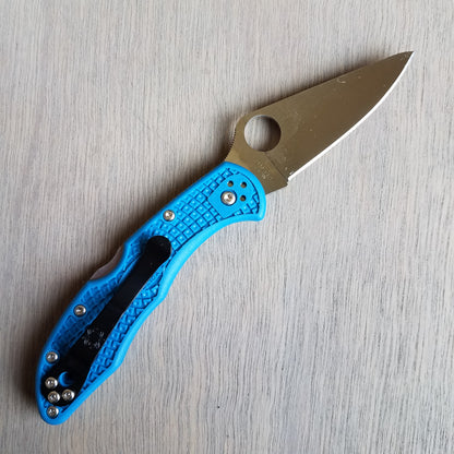 Spyderco Delica 4 Lockback - Blue - C11FPBL