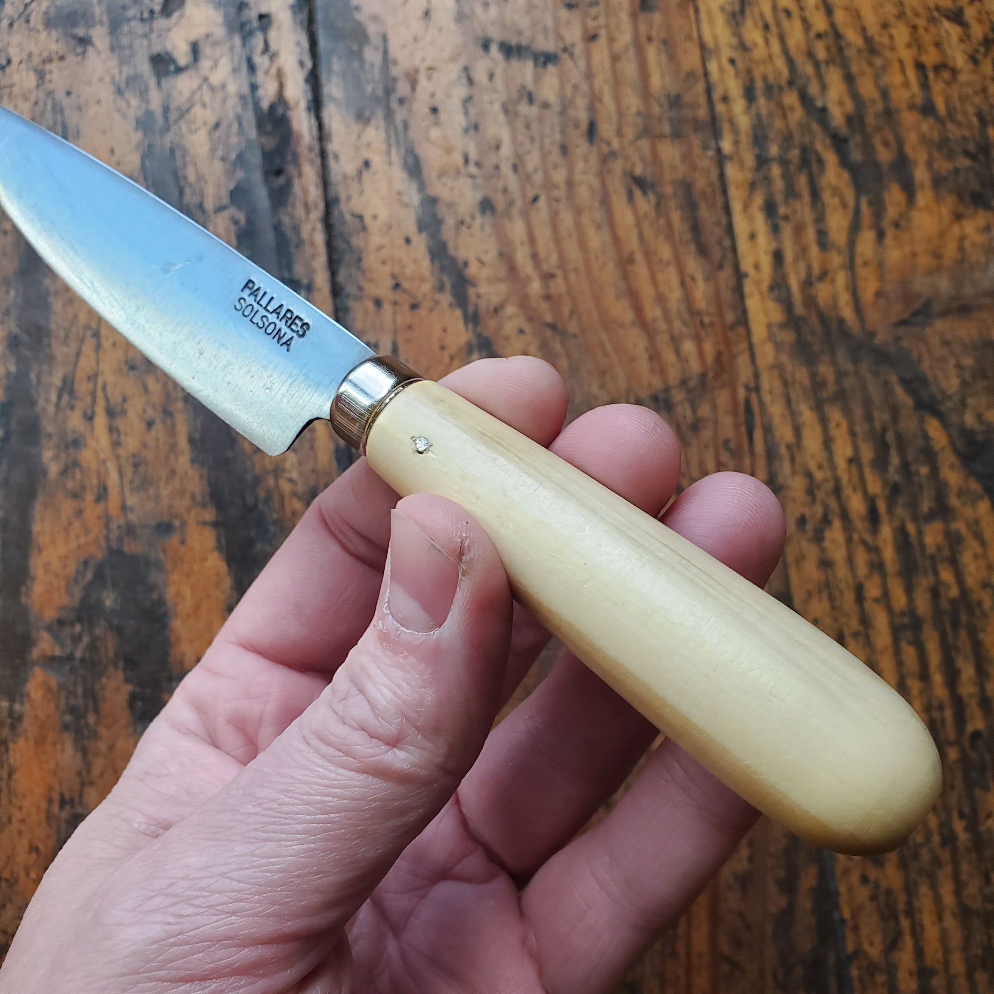 Pallares Solsona - old school carbon steel kitchen knife 