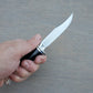 Buck 102 Woodsman 4" Knife with Leather Sheath